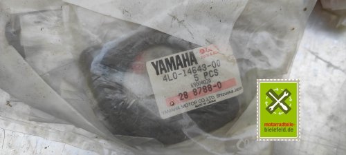 IMG_20230824_133239